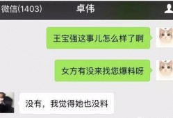 最新橙皮爆料视频,游戏新内容与玩法前瞻