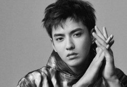 吴亦凡妈妈爆料成龙视频,真相背后引发热议